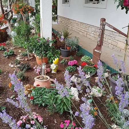 Atlija 3* Biograd Na Moru
