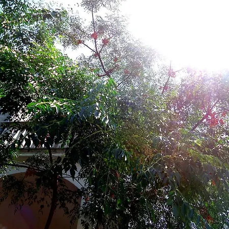 Guest house Atlija