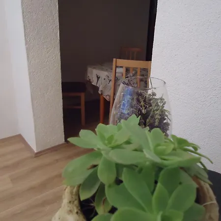 Atlija Biograd Na Moru
